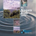 Niagara River AOC Update - 2002