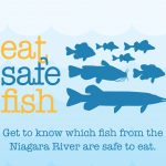 Eat Safe Fish booklet
