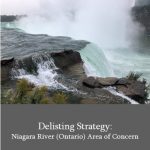 Delisting Strategy: Niagara River (ON) Area of Concern