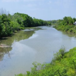June 2025 - Lyons Creek East Summary of Sediment Management Options