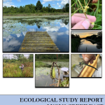 Ecological Study Report - Lyons Creek East